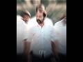 Rathnavelu Mass Status Edit Maamannan Status Alightmotion