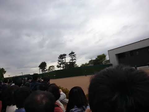 第20回中山グランドジャンプ本馬場入場