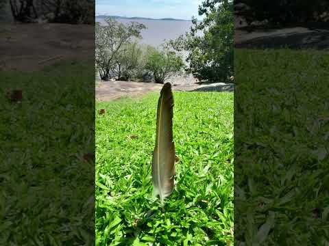 Praia do Espírito Santo,Porto Alegre,RS.