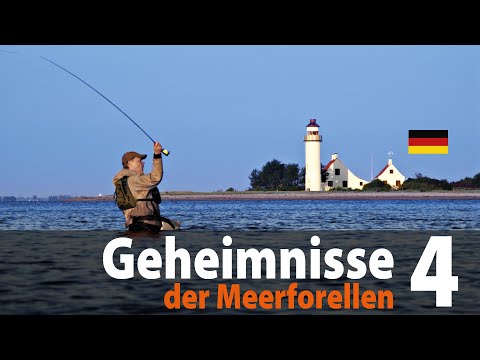 Geheimnisse der Meerforellen 4 Fliegenfischen