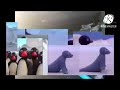 Everyone Screaming And Running Away From Pingu Stampdede Add Round 67