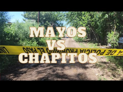 Sinaloa civil war