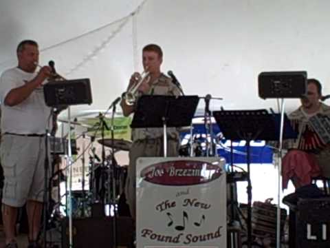 Joe Brzezinski New Found Sound 7-22-2010 Pulaski Polka Days Wisconsin