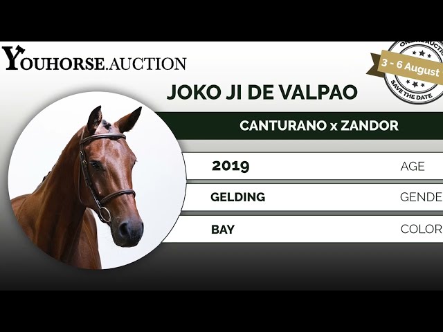 Joko Ji de Valpoa