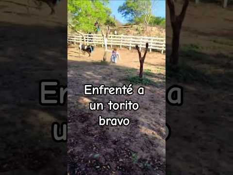 JOCHEO de TOROS #shorts #jocheo #tradiciones #monteagudo