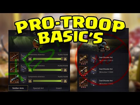 The Ants: Underground Kingdom / PRO TROOP / FUNDAMENTALS