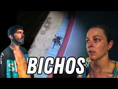 A Verdadeira AUSTRALIA BRASILEIRA É AQUI | Miranda/MS - Ep16