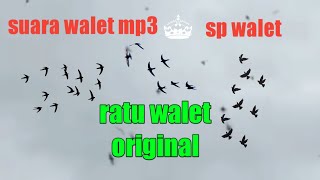 Download lagu sp walet • suara panggil ratu walet mp3