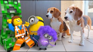 Animations in REAL LIFE vs Funny Dogs 🥳 | Minions - Minecraft - LEGO