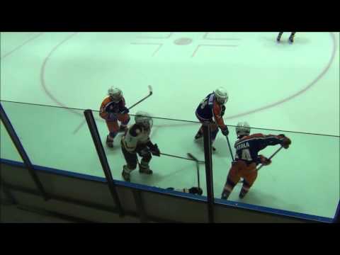 Leijonaliiga 2015 2016  Ilves Nashville -  Tappara Viipperät Mustat