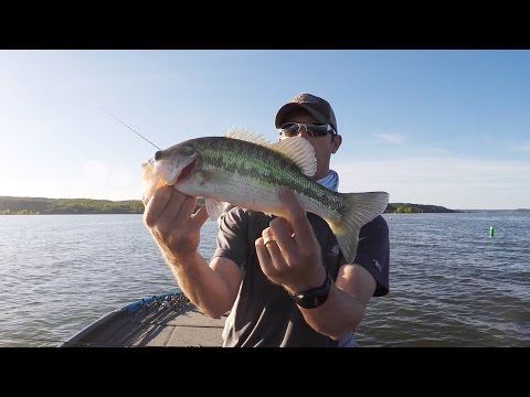 How to tell a Spotted Bass From a Largemouth