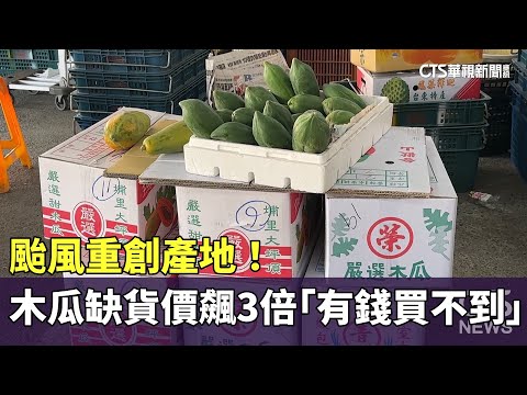 颱風重創產地！　木瓜缺貨價飆3倍「有錢買不到」
