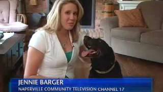Animal Assisted Therapy Program