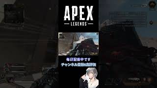 APEX  3たて