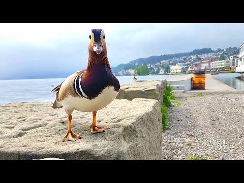 you vs the guy she tells you not to worry about