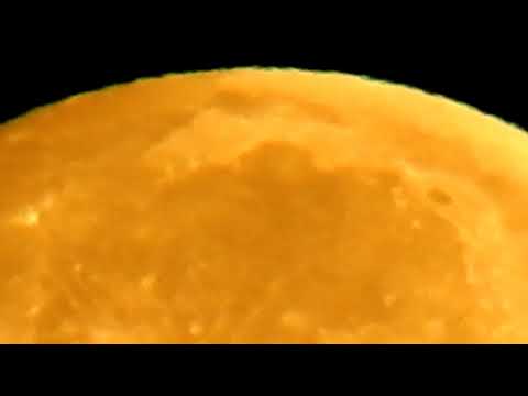 FULL MOON MUSIC AMBER PLASTER