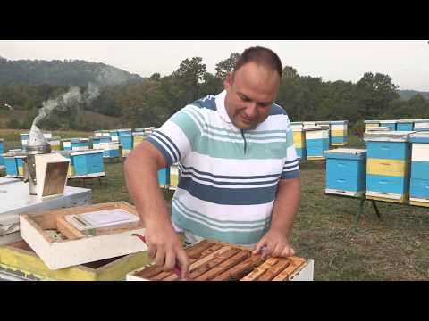 Boja meda ep. 93 17.12.2019. NAJAVA