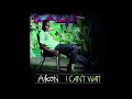 Akon - I Can’t Wait (feat. T-Pain) (Remix)