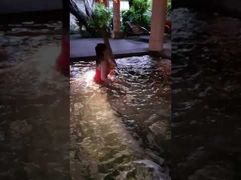 Baía da plantação Mogambo Springs