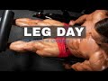 LEG DAY - QUAD FOCUS - Full Workout w/ Tutorial -The Return of Quadzilla