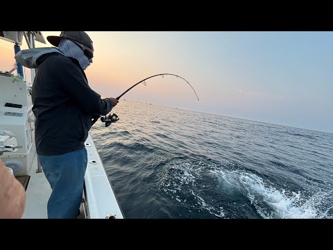 Block Island Tuna/Fluke Combo Trip