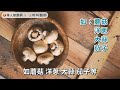 糖尿病恐增罹癌風險！維生素D控血糖？趙順榮藥師：5大食物防糖尿病上身