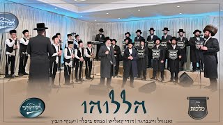 הַלְּלוּהוּ - זאנוויל וינברגר, דודי קאליש, פנחס ביכלר, מקהלת מלכות, חסידימלעך, יענקי רובין | Malchus