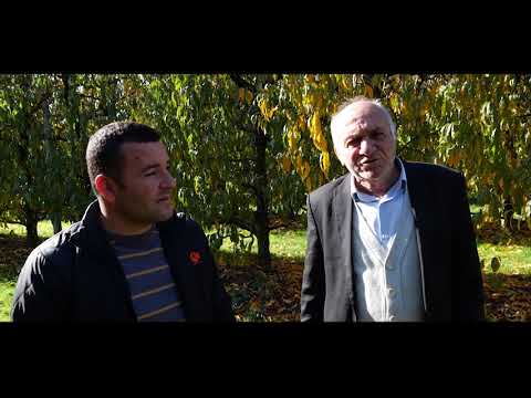 BELSH TV -Bujqësina në Dumre  " Ferma e Bashkuar Peqin"....