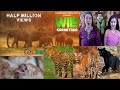 AMERICANS REACT TO Wild Karnataka Teaser 4K Indian Wildlife Documentary FIRST OF ITS KIND