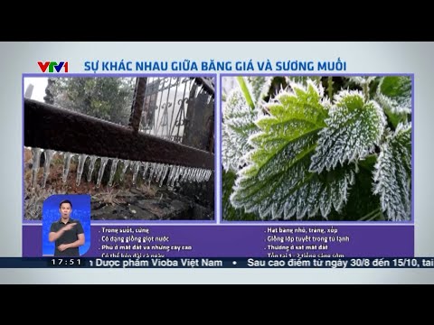 Phân biệt giữa băng giá e sương muối để đi