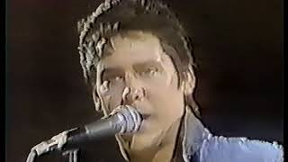 shakin stevens lawdy miss clawdy live on dell festival 1982