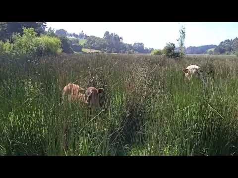 Ayer Agua, Hoy escasez, Mañana Lucha