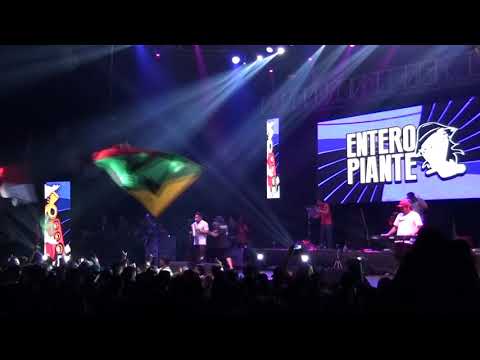 Entero Piante - Recital teatro Caupolican 2018 fiesta del Memo