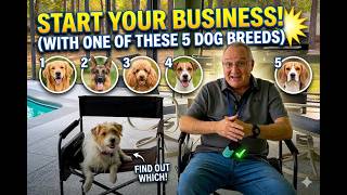 5 Best Dog Breeds to Launch a Profitable Dog Training Business Fast