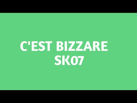 SK 07- c'est bizzare ( LYRICS PAROLE )