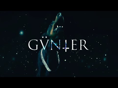 Laylow x Hamza Type Beat "Lonely" (Prod. Günter)
