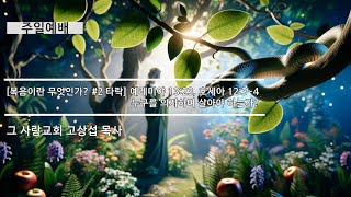 [타락] 예레미야 13:23, 호세아 12:3~4 누구를 의지하며 살아야 하는가? 주일예배