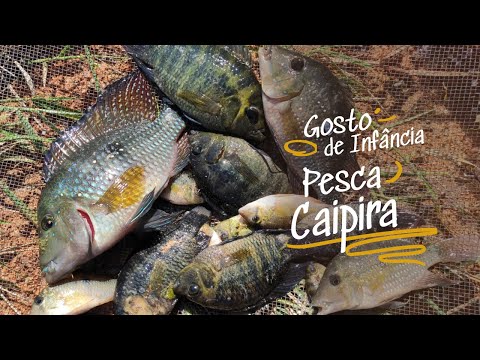 Pescando acará! na sua cidade se chama assim?