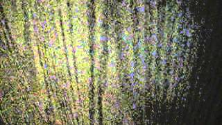 Hannah & Holly Beggin' for Bottles!