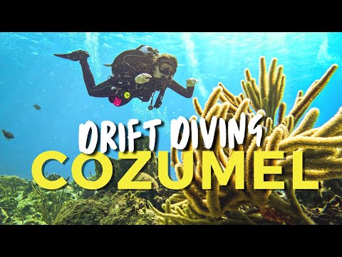 DRIFT DIVING IN COZUMEL || Mexico's Scuba Paradise