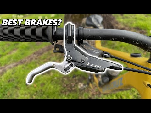 Hayes Dominion A4 1 Year Review - Best MTB Brakes On The Market?