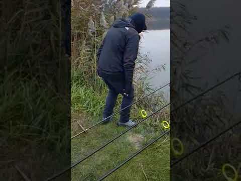 Branesti 3 noiembrie 2017