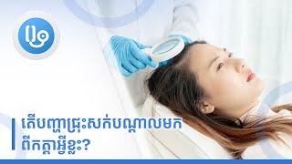 តើបញ្ហាជ្រុះសក់បណ្ដាលមកពីកត្តាអ្វីខ្លះ?