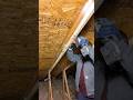 This Is Why We Don T Use Construction Staples Fail Framing Construction Carpentry Carpenter