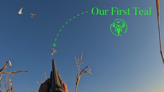 Michigan Duck Hunting {Teal and More}