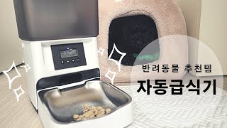 늦잠자는 집사 추천템... 반려동물 자동급식기 드디어 써봤습니다!!! 디클 자동급식기 AT-310