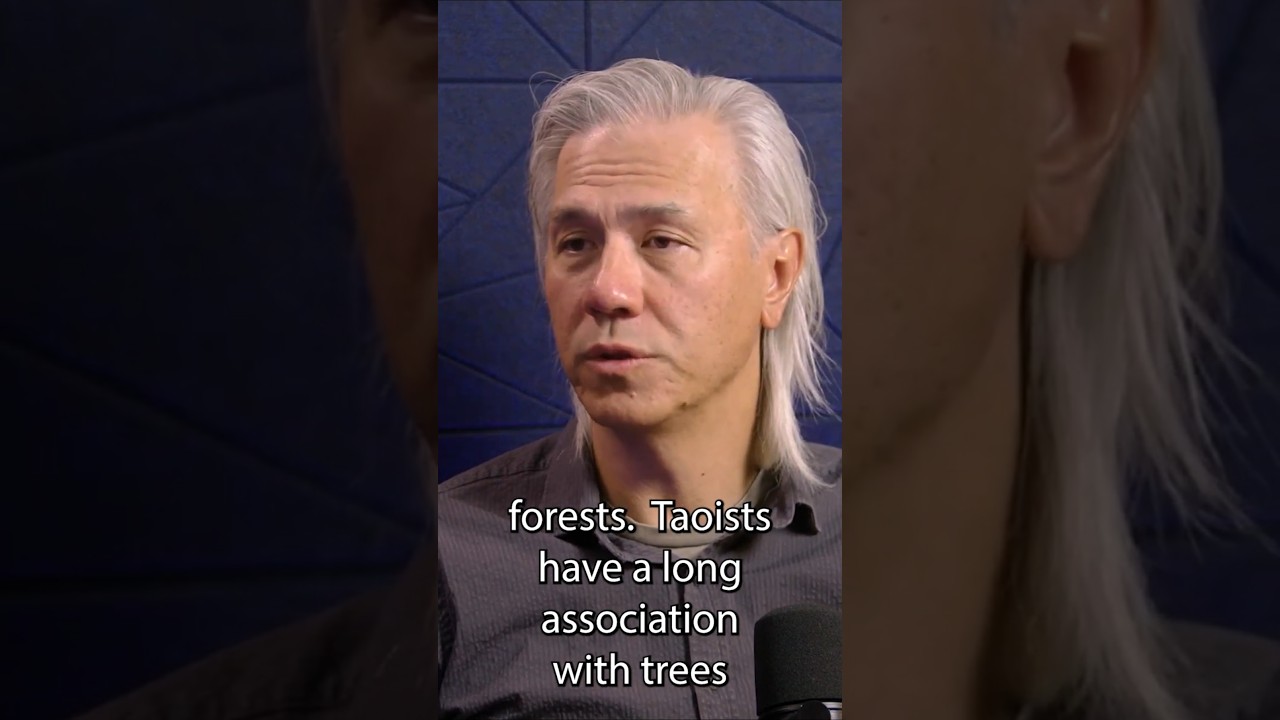 Are you a New Taoist? Here's how to start your practice. Get yourself into Nature #natureismytherapy