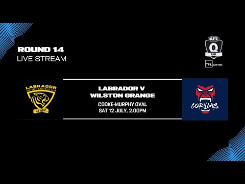 LIVE TPIL Lawyers QAFL ROUND 14 - Labrador v Wilston Grange