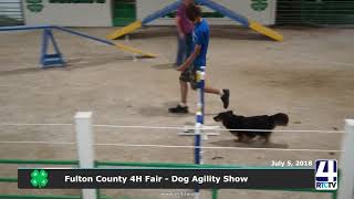 Fulton County 4H Fair - Dog Agility Show -7-5-18