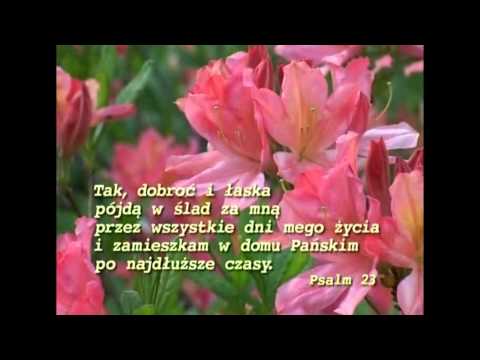 Miejcie nadzieję nie tę lichą marną...